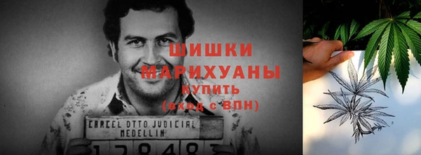 винт Белокуриха