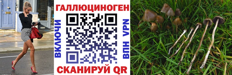 Псилоцибиновые грибы прущие грибы  Задонск 